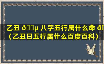 乙丑 🌵 八字五行属什么命 🕊 （乙丑日五行属什么百度百科）